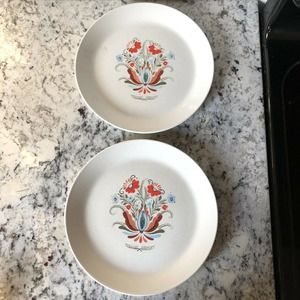 Set of 2 Johnson Brothers Berggren 8" Plates Folk Art Flowers Swedish Design